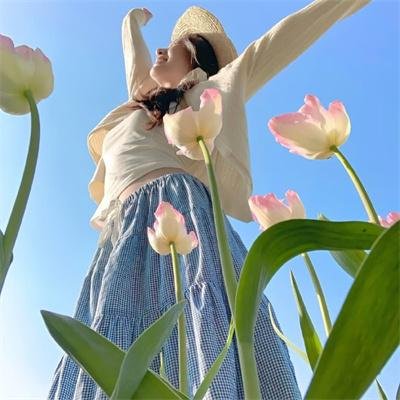 辛巴达与美人鱼公主
